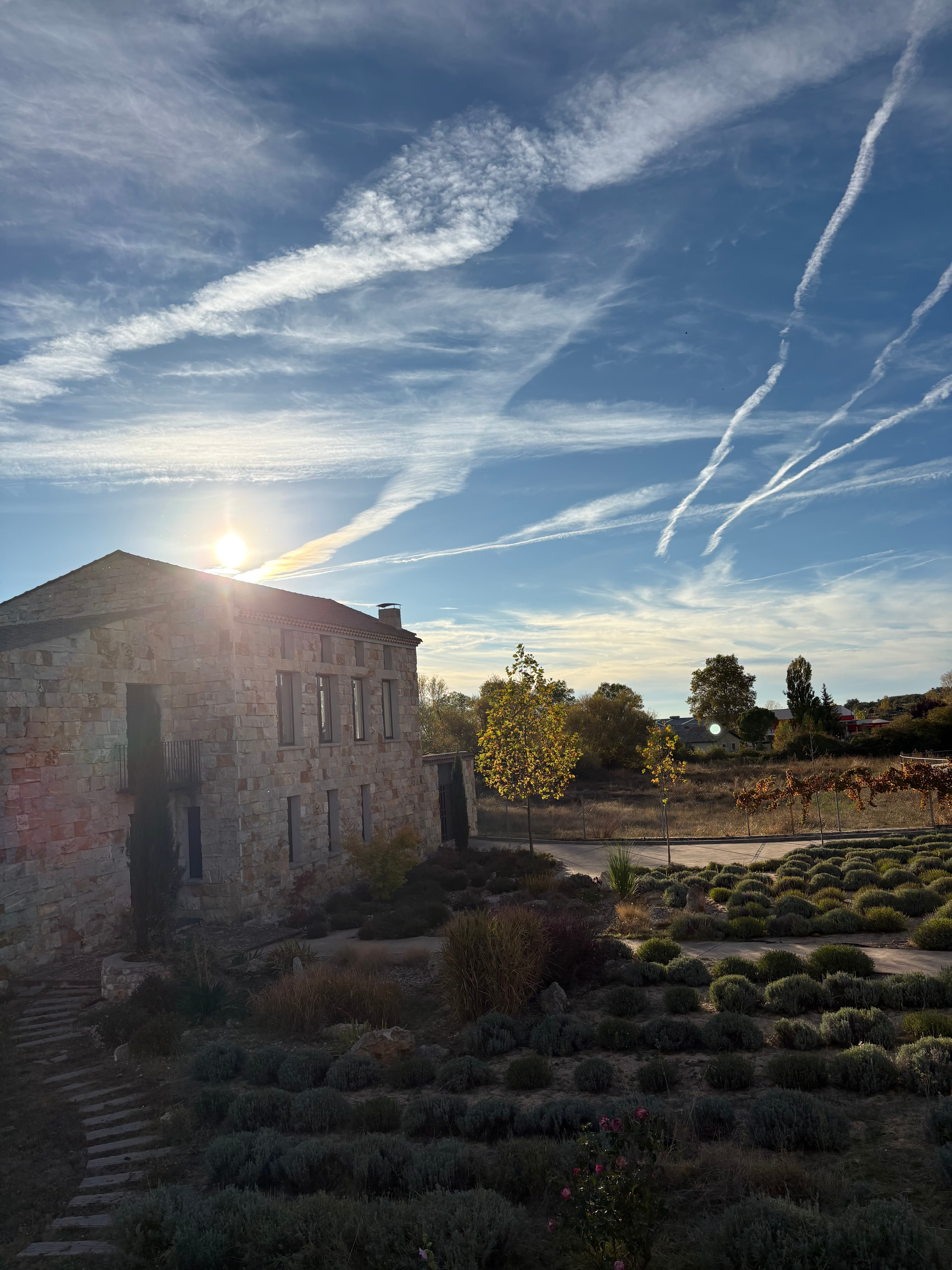 HQ, Caleruega. The cows are our board of directors.